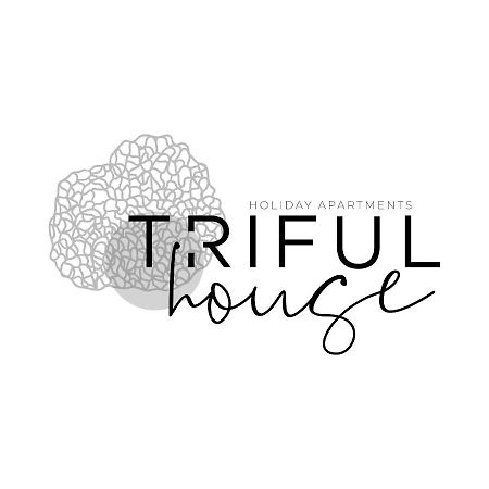 Trifulhouse Holiday Apartments Alba Kültér fotó