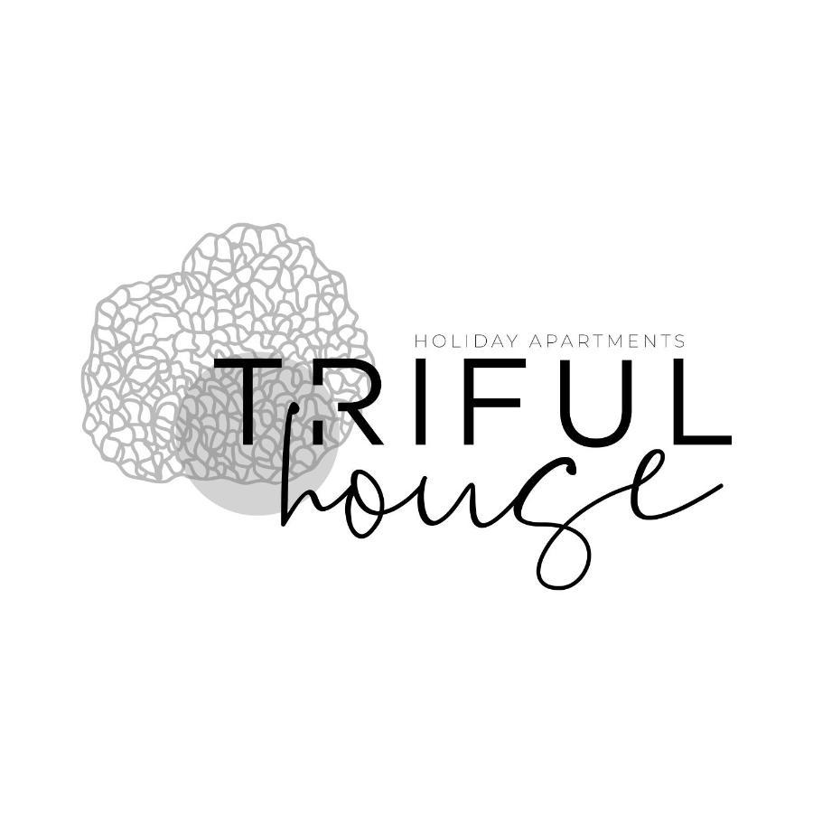 Trifulhouse Holiday Apartments Alba Kültér fotó